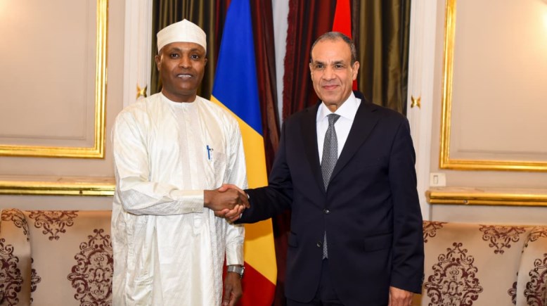 وزير الخارجية والهجرة، الدكتور بدر عبد العاطي، ونظيرة التشادي، عبد الله صابر فضل