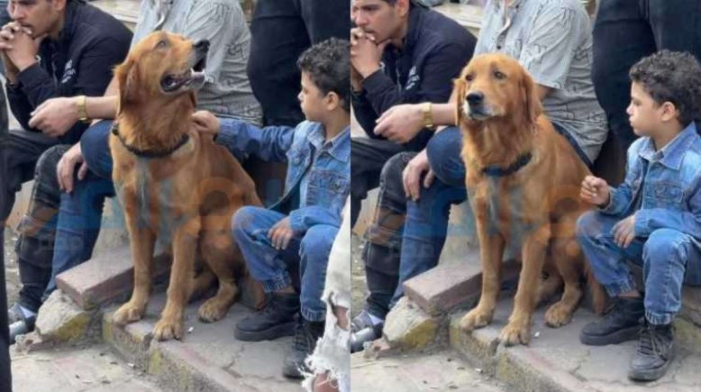 كلب نجل الراحل إسماعيل الليثي