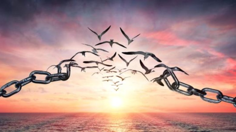 موضوع تعبير عن الحرية كامل العناصر