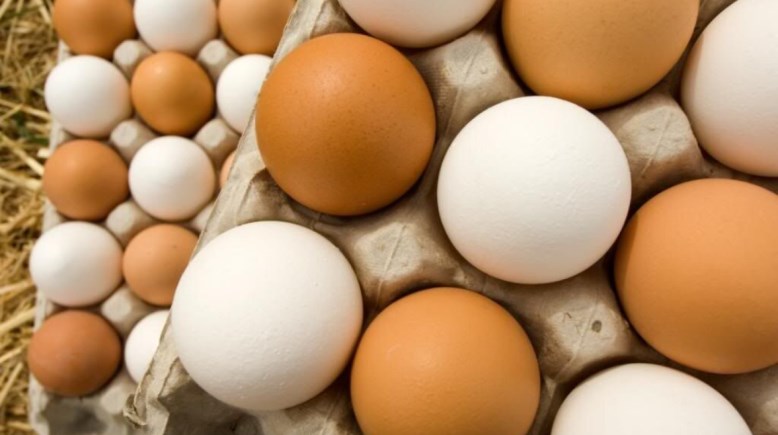 سعر كرتونة البيض الأبيض اليوم السبت 29 نوفمبر 2025