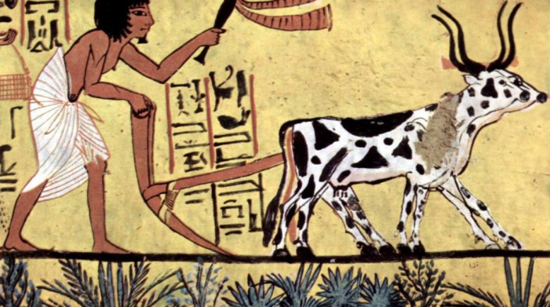 الفراعنة-صورة أرشيفية