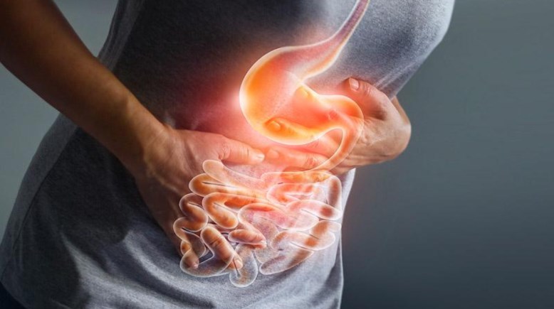 الأمعاء- أرشيفية