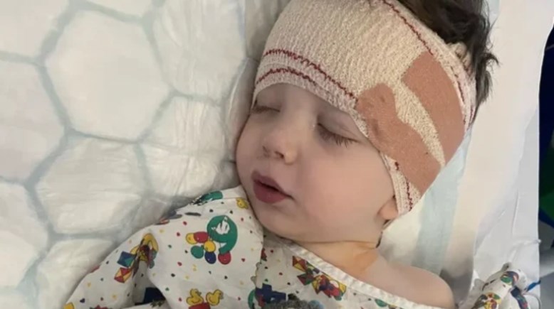 الطفل “رافي ستاركويتز” 