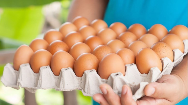 سعر كرتونة البيض اليوم السبت 15 نوفمبر 2025