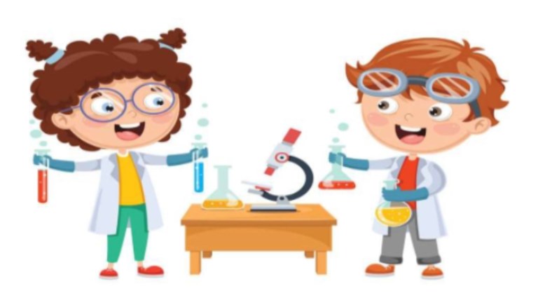 مراجعة شهر نوفمبر للصف السادس الابتدائي علوم 