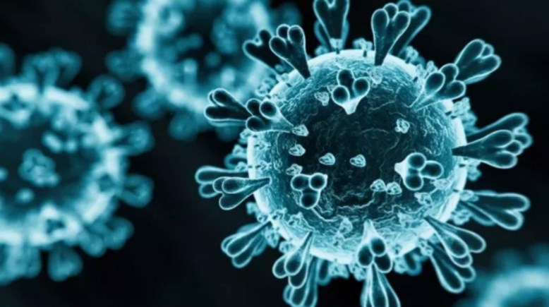 المتحور الجديد 2025