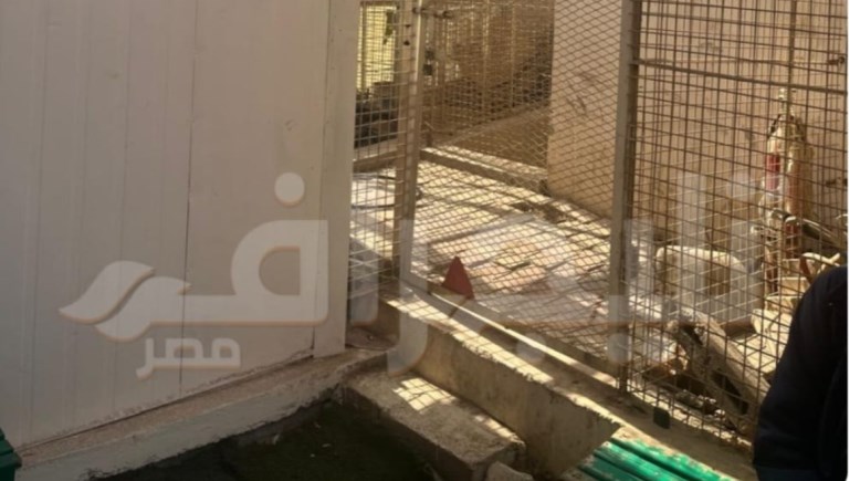 من مكان الواقعة