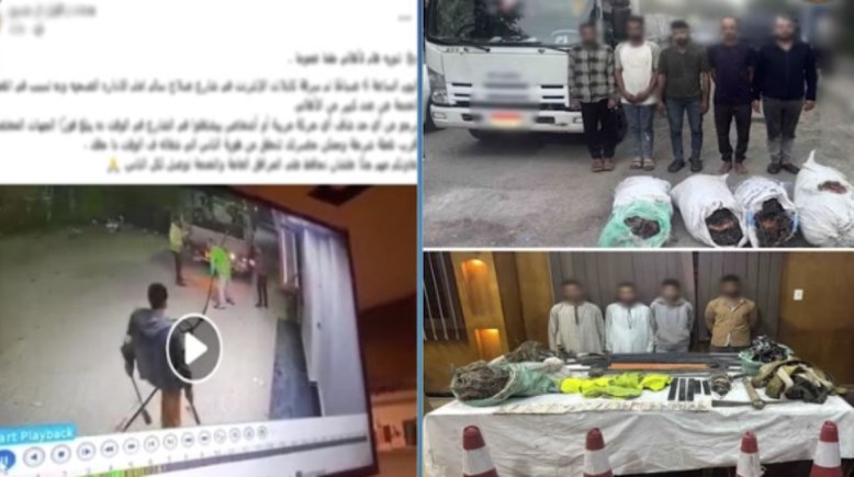 ضبط المتهمين بسرقه كابلات كهرباء في سوهاج