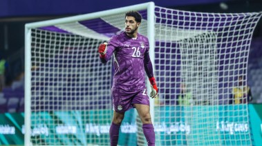 مصطفى شوبير 