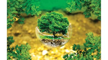 التنمية المستدامة