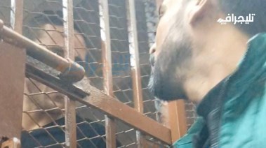 رمضان صبحي خلف قفص الاتهام