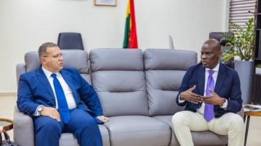 وفد مصري اقتصادي في غانا