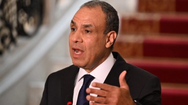 وزير الخارجية والهجرة الدكتور بدر عبدالعاطي