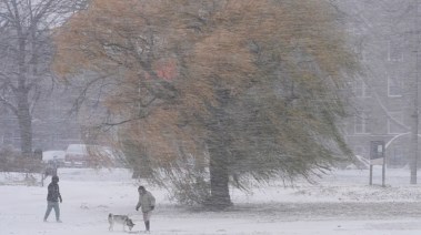 الولايات المتحدة