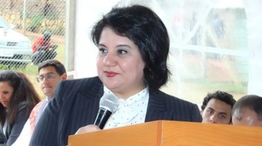 سفيرة مصر لدى البرازيل، مي طه خليل