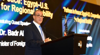  وزير الخارجية والهجرة بدر عبدالعاطي