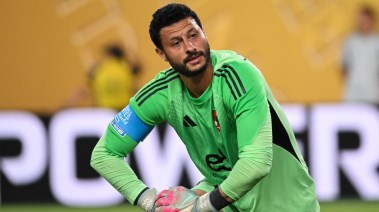 محمد الشناوي 