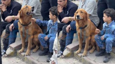 كلب نجل الراحل إسماعيل الليثي