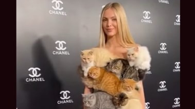 سيدة ترتدي فستان مغطاة بالقطط الحية