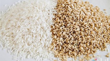 سعر طن الأرز الشعير اليوم الخميس 6 نوفمبر 2025