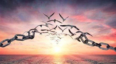 موضوع تعبير عن الحرية كامل العناصر