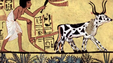 الفراعنة-صورة أرشيفية