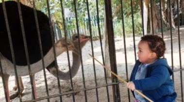 هل حديقة الحيوان مفتوحة الآن الجيزة 2025