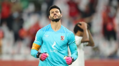 محمد الشناوي