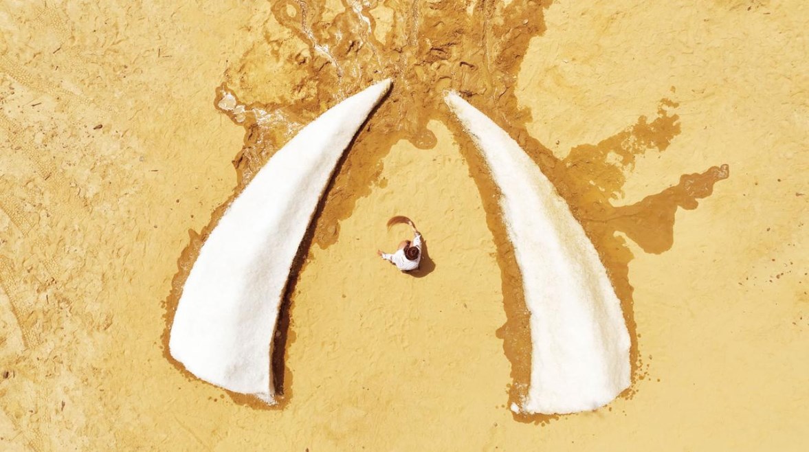 مشروع رماد البرد