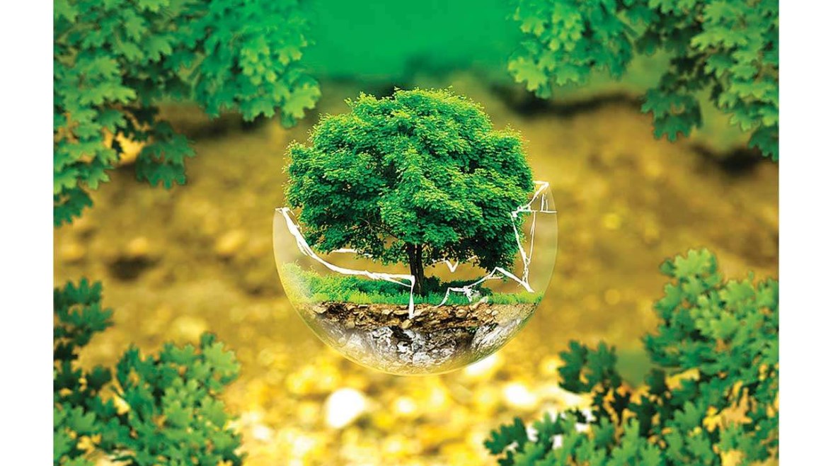 التنمية المستدامة