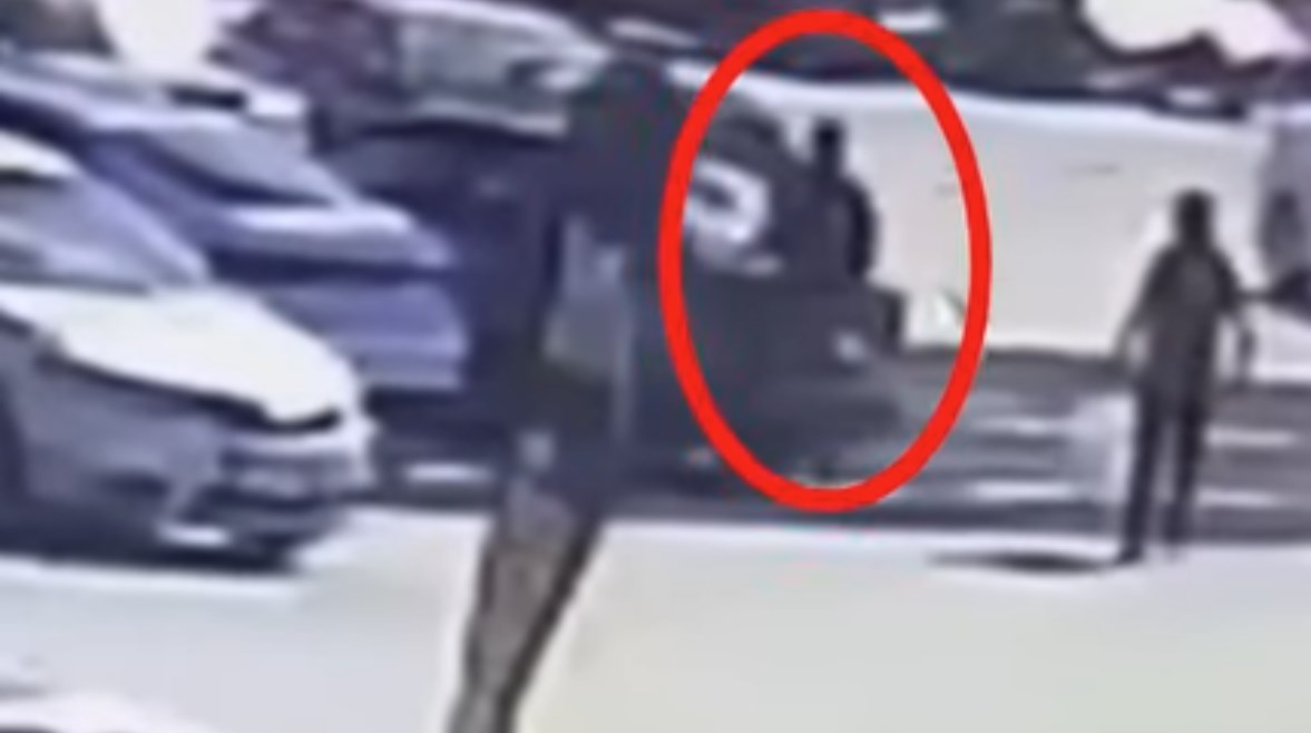 لقطة من فيديو يوضح واقعة السرقة