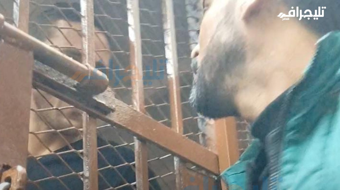 رمضان صبحي خلف قفص الاتهام