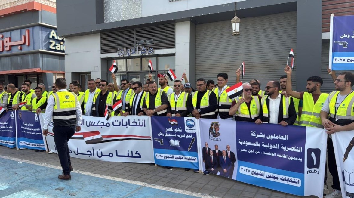 انتخابات مجلس الشيوخ للمصريين بالخارج