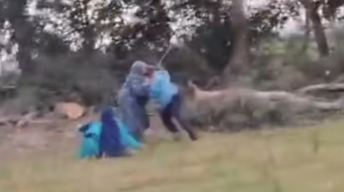 فيديو يظهر تعدي شخص على والدته وشقيقته بالشرقية