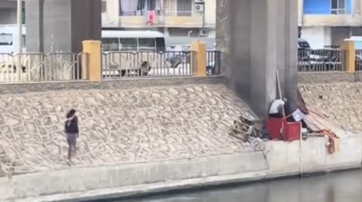 لقطة من الفيديو 