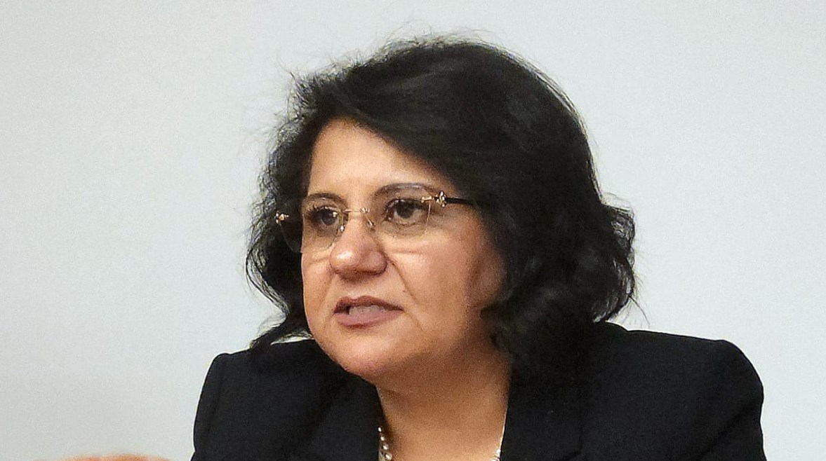 سفيرة مصر لدى البرازيل، مي طه خليل