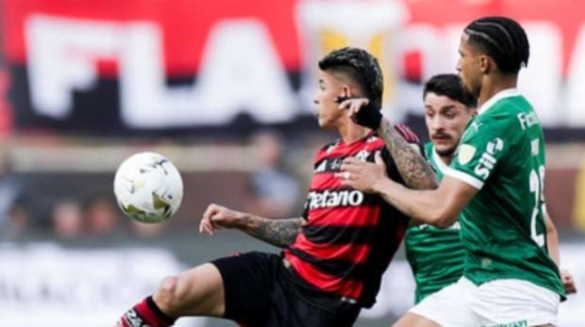 جانب من مباراة بالميراس وفلامنجو 