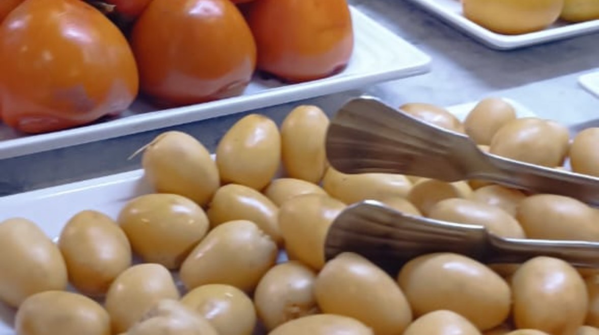 جانب من الوجبات المخصصة للنباتيين في فنادق الغردقة