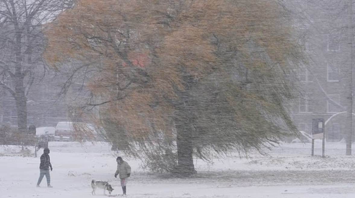 الولايات المتحدة