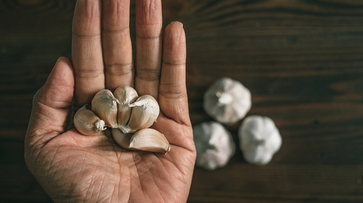 تناول الثوم