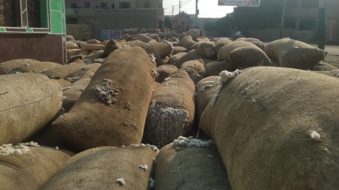 ضبط شونة ضخمة لتخزين القطن