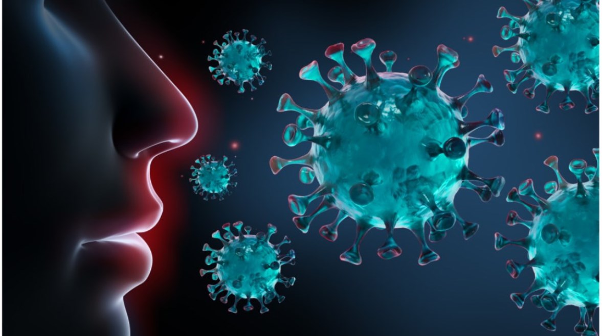 فيروس ماربورج