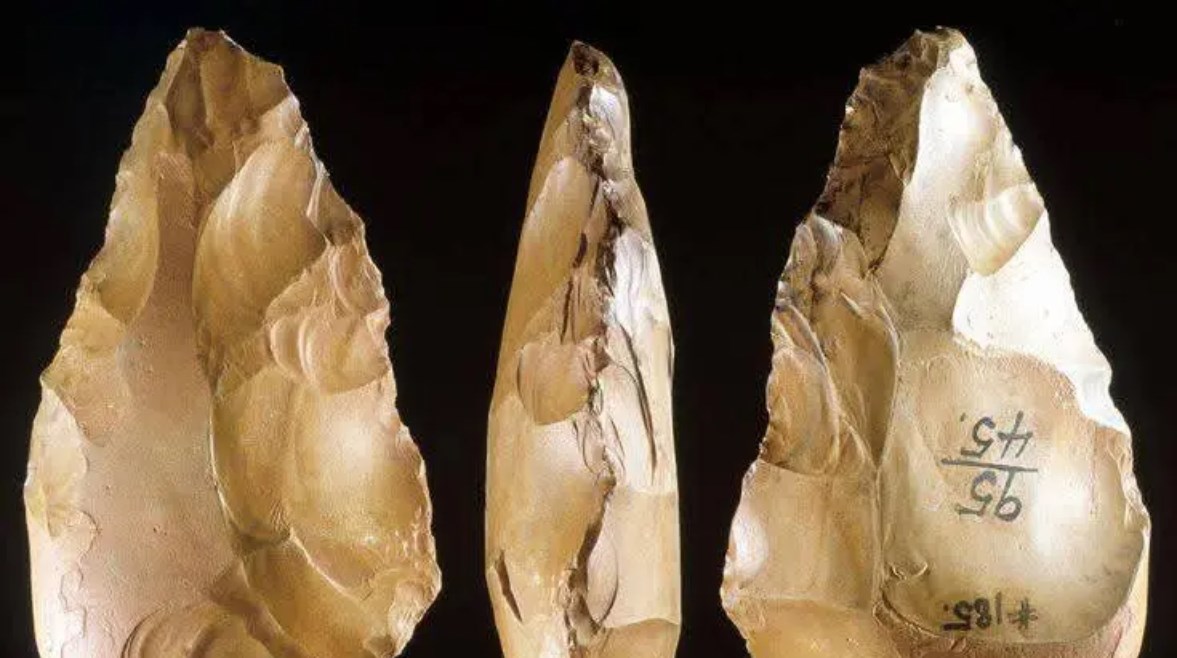 شكل البلطة التي عمرها 700 ألف سنة