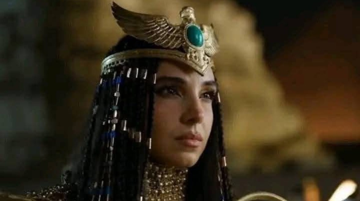 سلمى أبو ضيف في حفل افتتاح المتحف المصري الكبير سلمى أبو ضيف في حفل افتتاح المتحف المصري الكبير