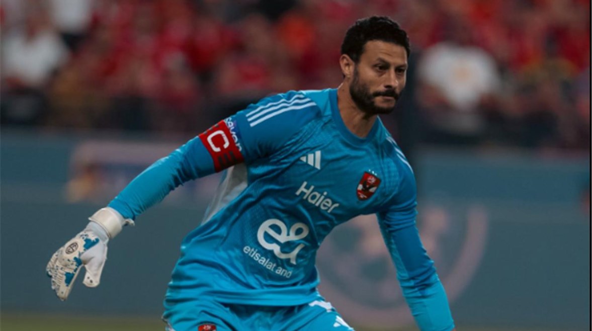 محمد الشناوي 