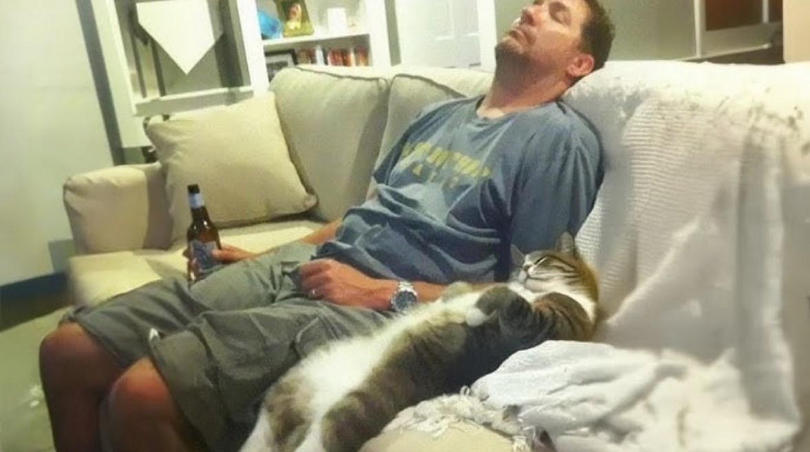 تقليد القطط لسلوكيات البشر