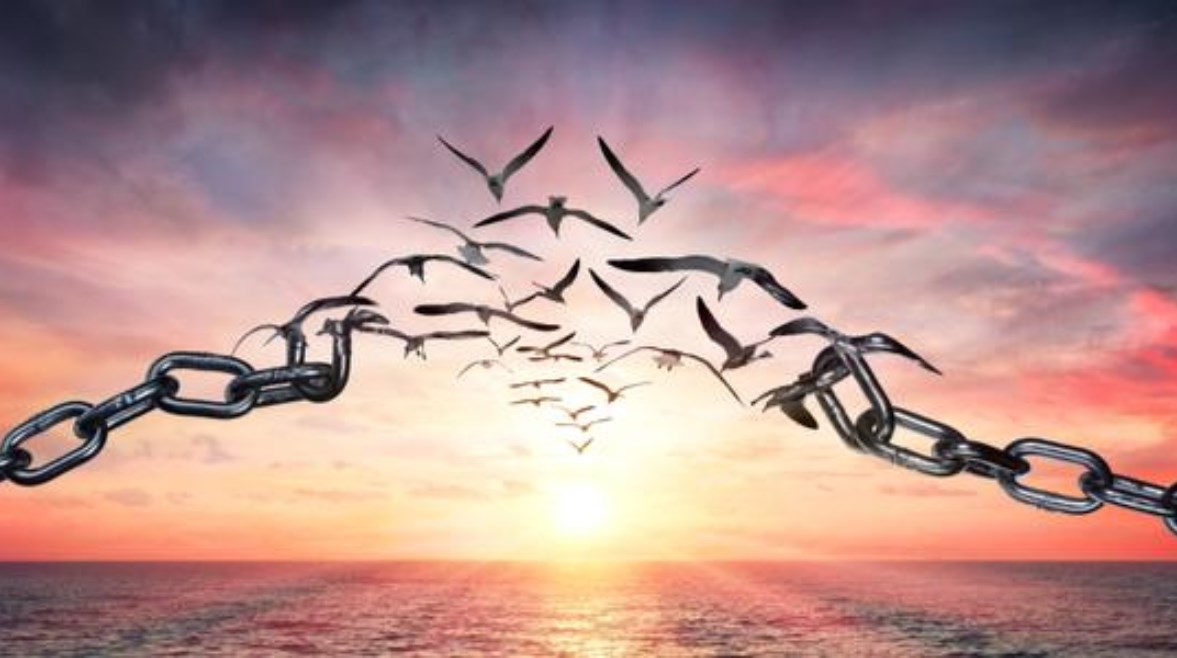 موضوع تعبير عن الحرية كامل العناصر