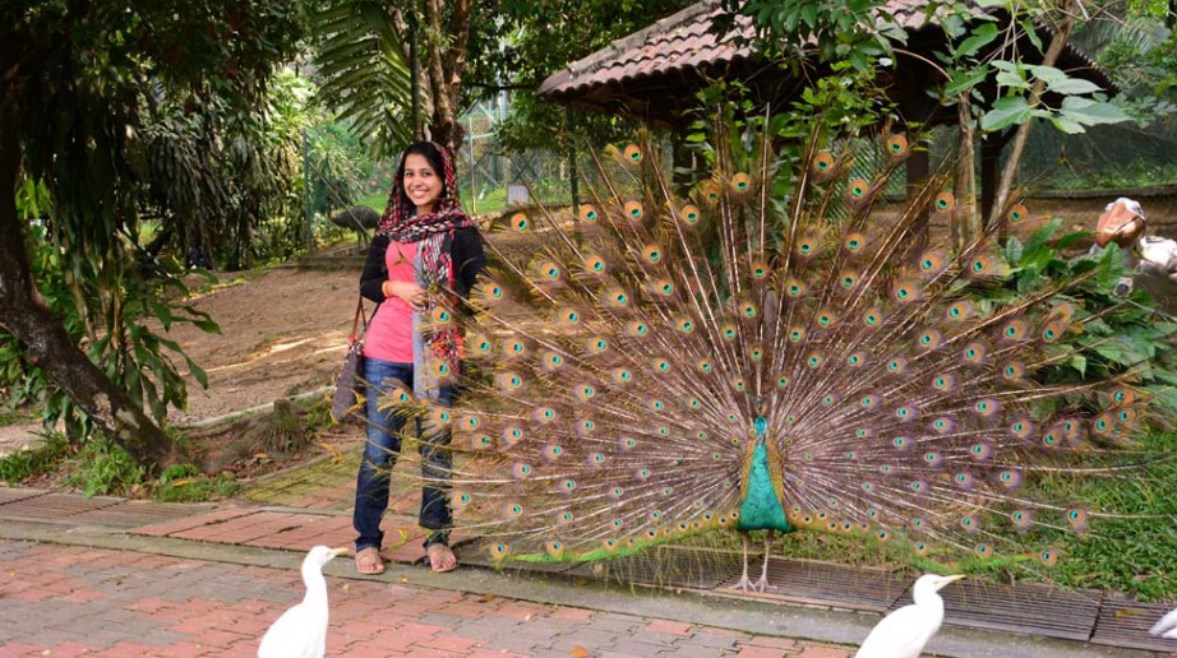 زقزقة الطيور تحسن الحاله النفسية للسيدة 