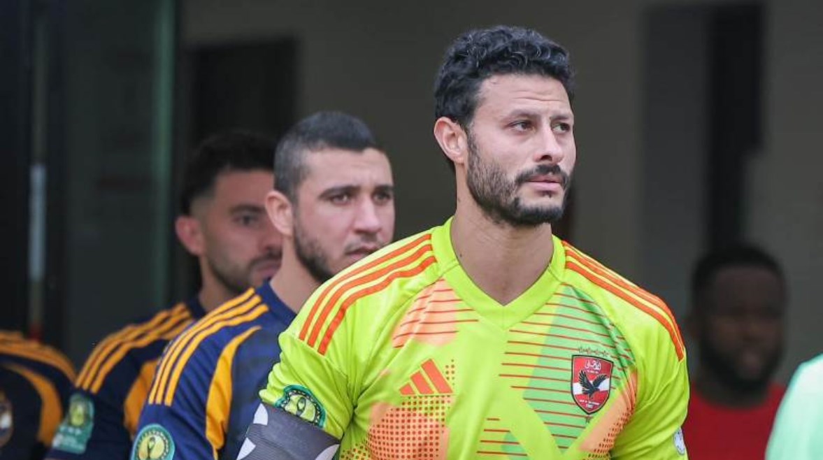 محمد الشناوي