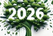  عبارات تهنئة بالعام الجديد 2026 للأصدقاء